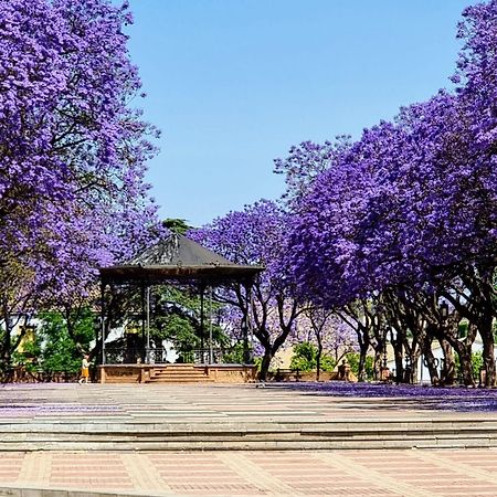 Alazan Jerez Iv-Parking Gratis-Wifi-Netflix Lägenhet Jerez de la Frontera Exteriör bild