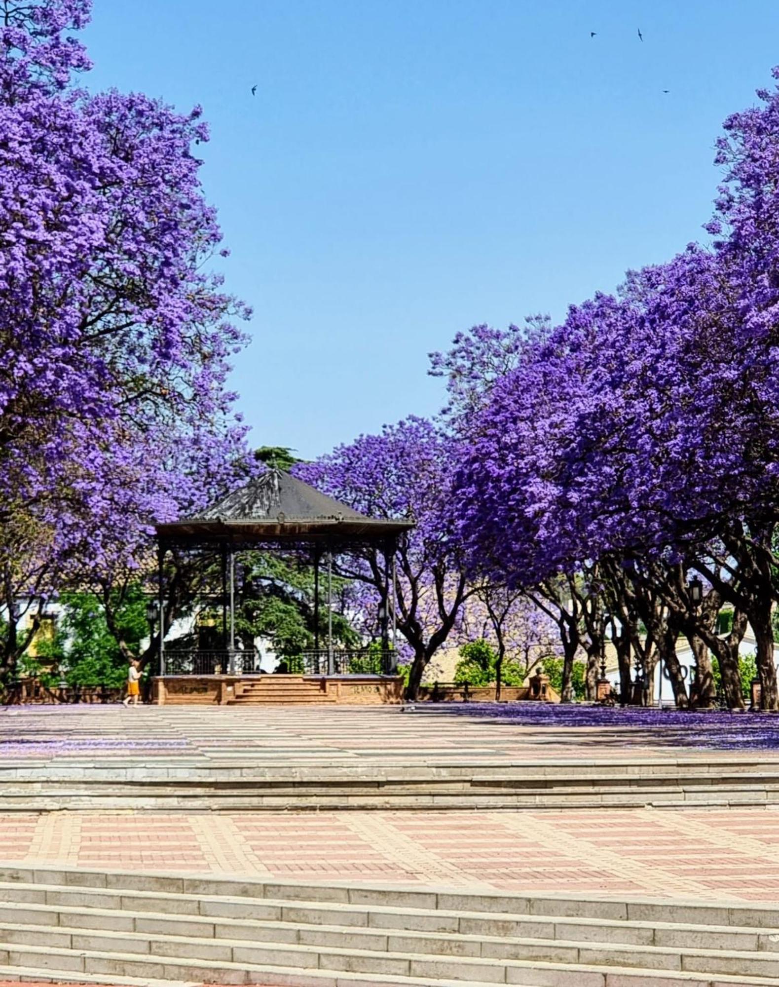 Alazan Jerez Iv-Parking Gratis-Wifi-Netflix Lägenhet Jerez de la Frontera Exteriör bild