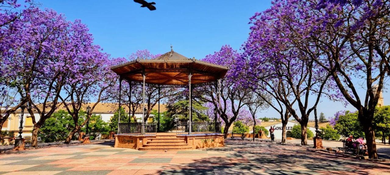 Alazan Jerez Iv-Parking Gratis-Wifi-Netflix Lägenhet Jerez de la Frontera Exteriör bild
